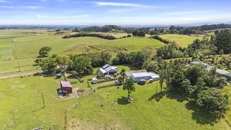 479 Kahuterawa Road Linton_12