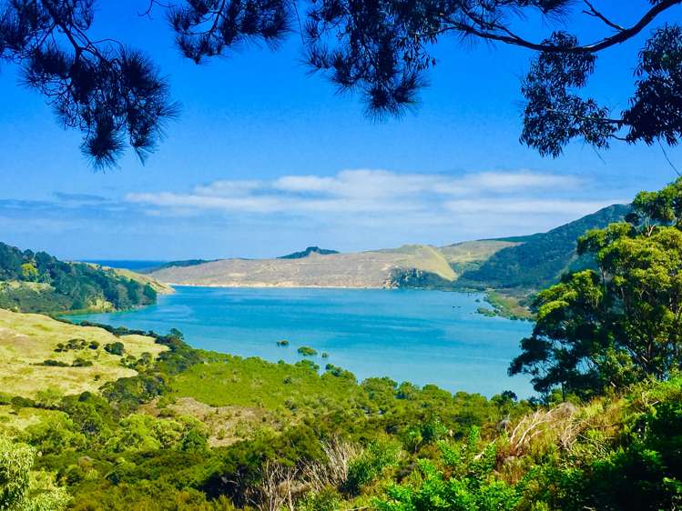 184 Whangape Road Herekino_1