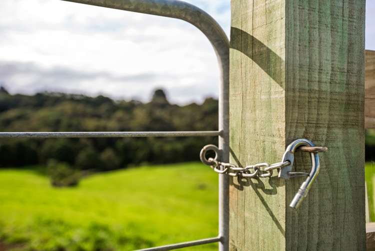 159 Findlay Road Mauku_5