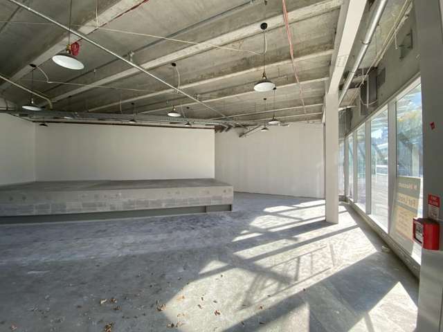 109 Ward Street Hamilton City Central_2