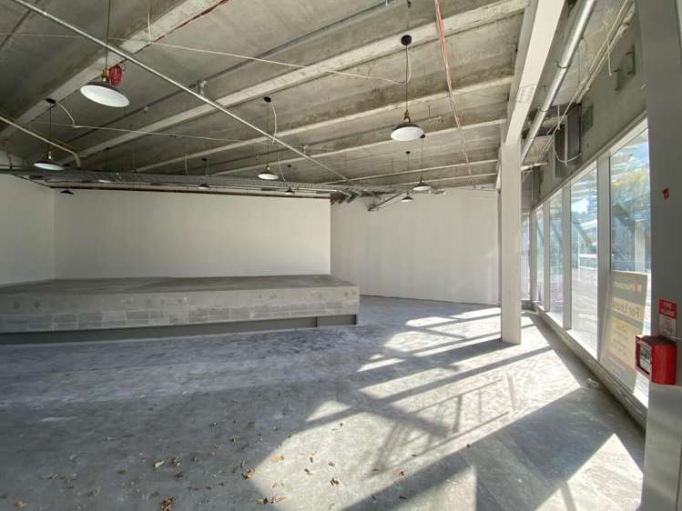 109 Ward Street Hamilton City Central_2