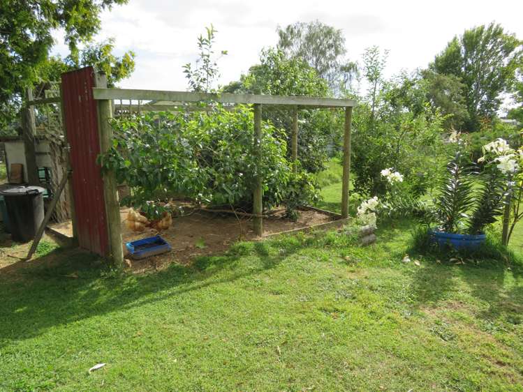 65 Hall Street Kihikihi_23