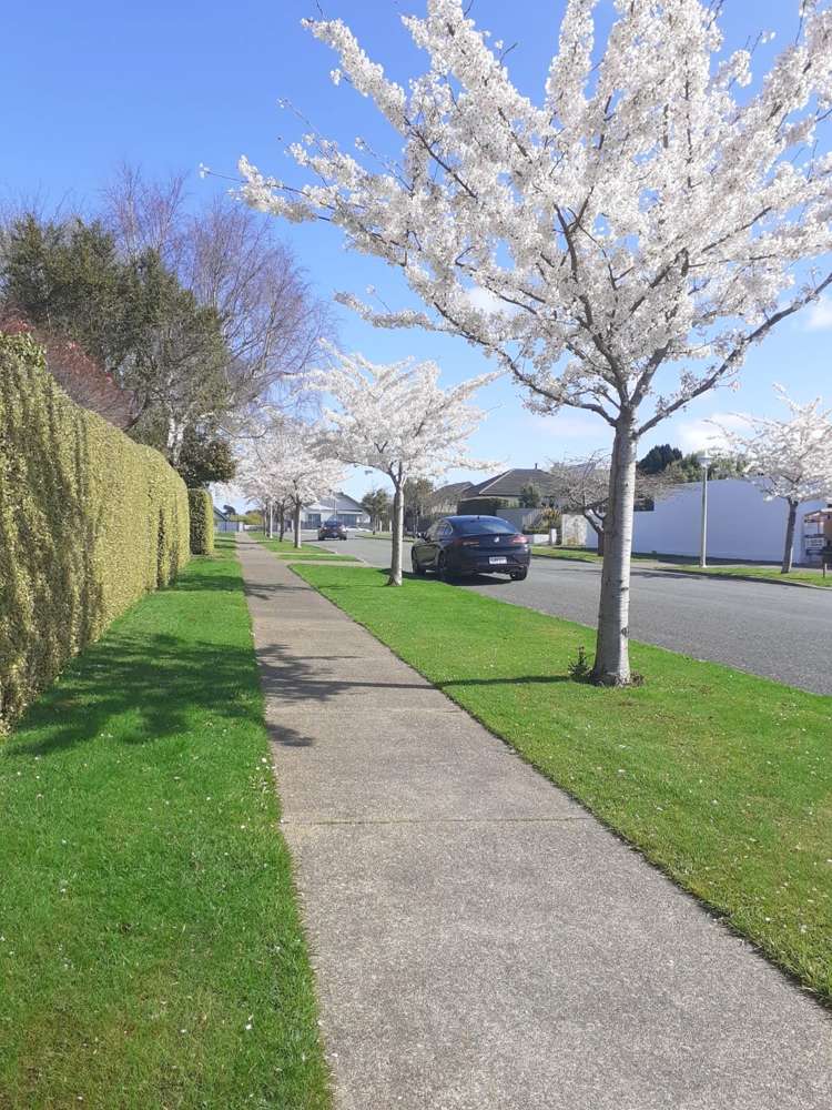 29 Wellesley Avenue Avenal_34