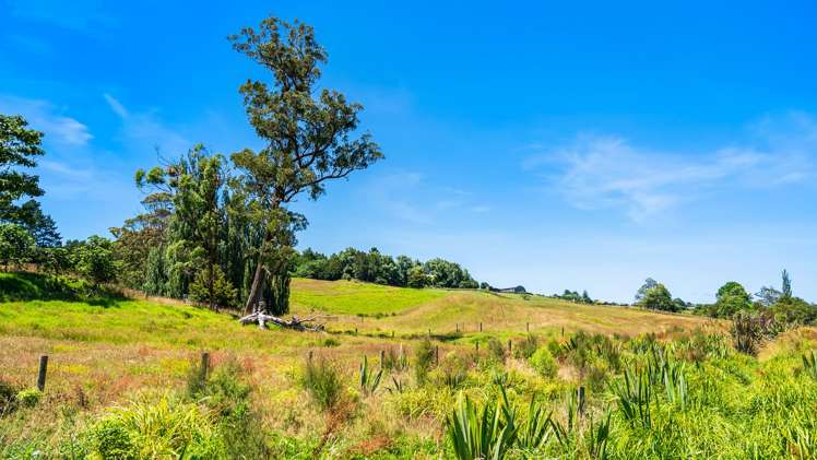 112 Kern Road Ramarama_17