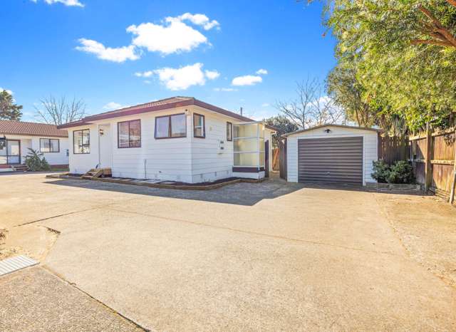 Sunny Home Near Sylvia Park