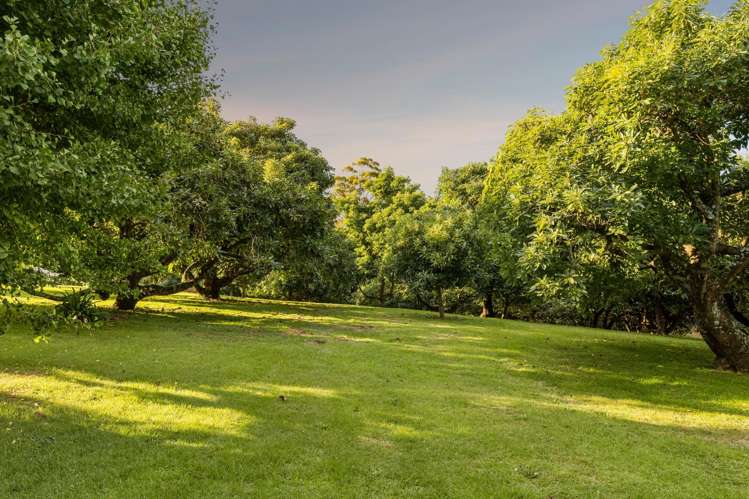 241 Rea Road Katikati_24