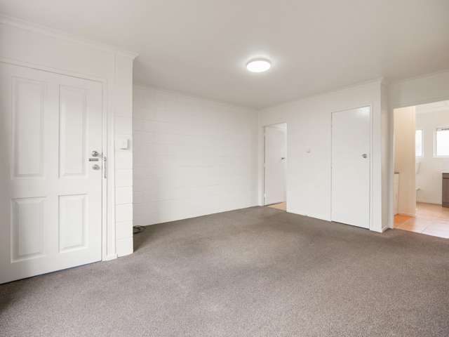 3/74A Palmerston Street Hamilton Central_2