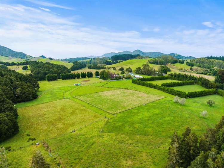 710 Sommerville Road Dargaville Surrounds_22