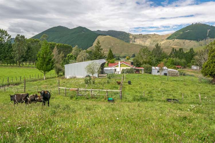 64 Hills Road Rai Valley_24