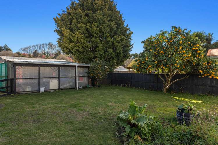 415 River Road Kawerau_8