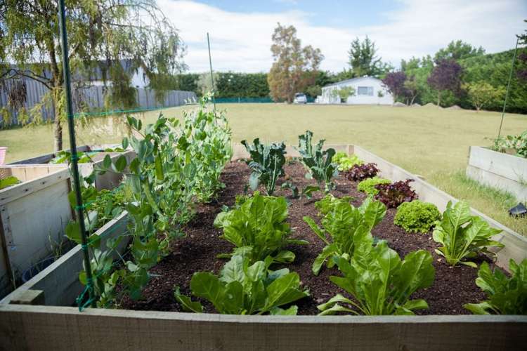 159D Lowes Road Rolleston_16