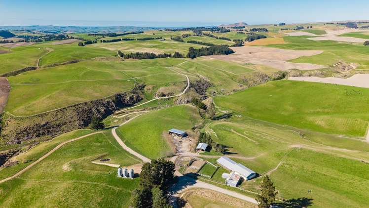 467 Waihaorunga Back Road Waimate_5