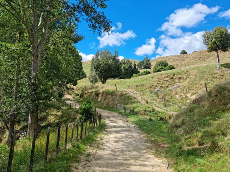 3779 Whanganui River Road (State Highway 43) Ruapehu-King Country Surrounds_9