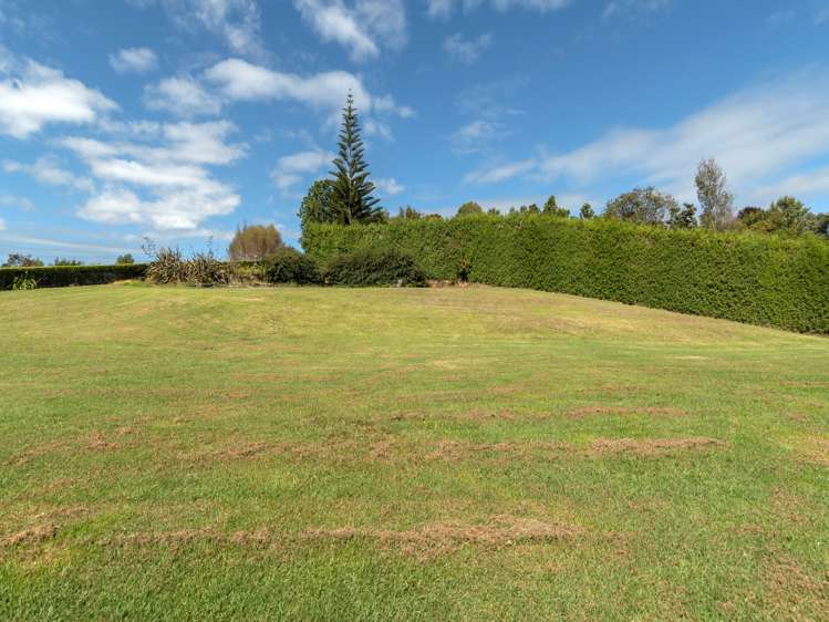 84 Plummer Road Whakamarama_4