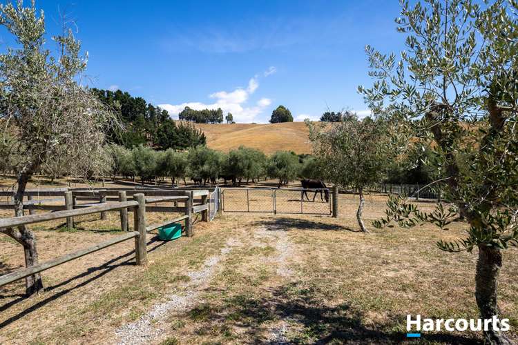 136 Harley Road Tasman_44