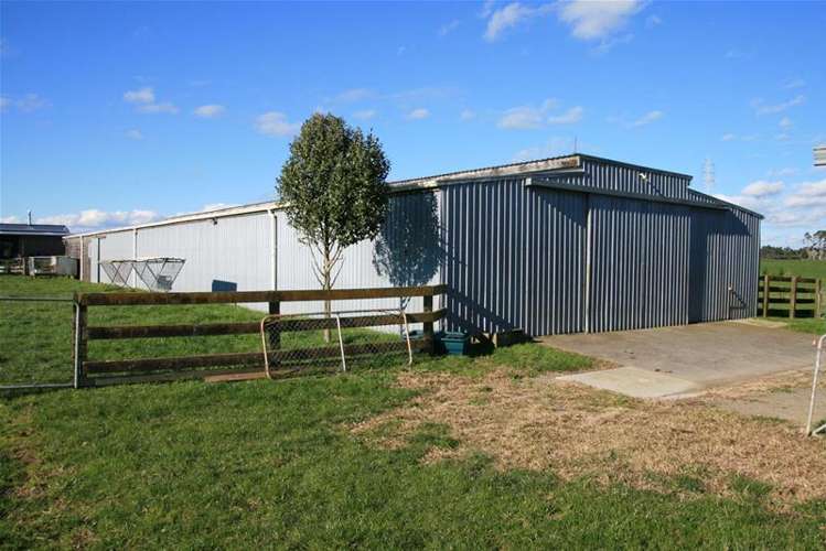 318c Manutahi Road Lepperton_18