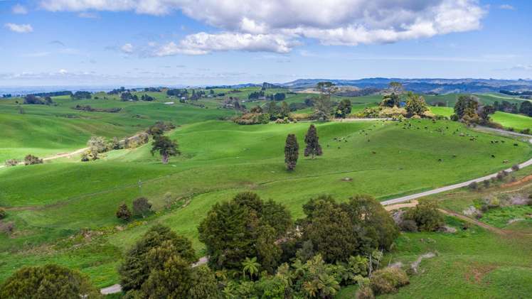 44 Te Rauamoa Road Otorohanga_33