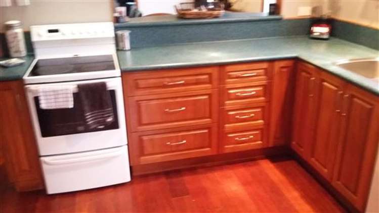 15 Kaka Street Piopio_21