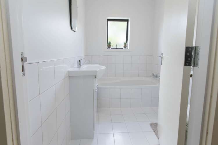 117 Livingstone Road Te Poi_7