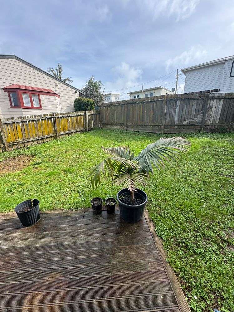 172b White Swan Road Mount Roskill_12