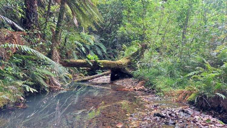 114 Hay Road Hukerenui and Surrounds_33