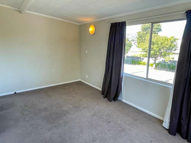 30 Cameron Street Sydenham_3