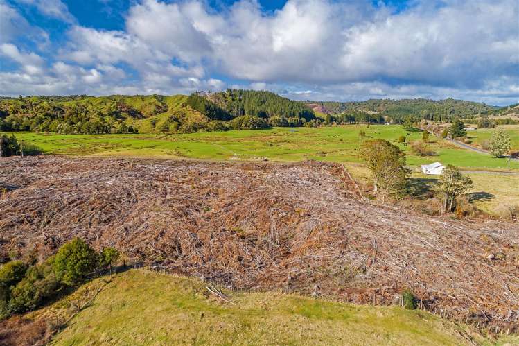 Waitaanga North Road Ohura_3