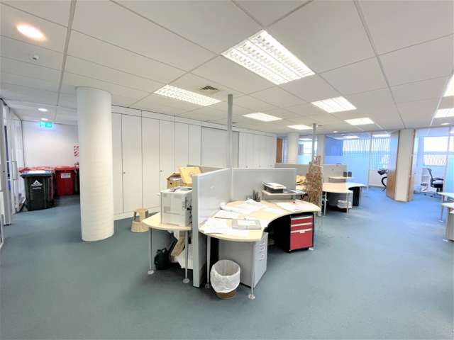 2 Crummer Road Grey Lynn_4