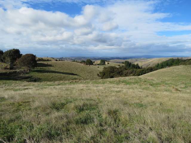 507 Apley Road Puketapu_3