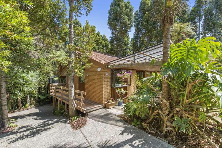 43 Barlow Place Chatswood_3