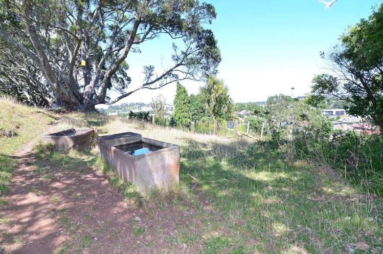 16a Belvedere Street Epsom_10