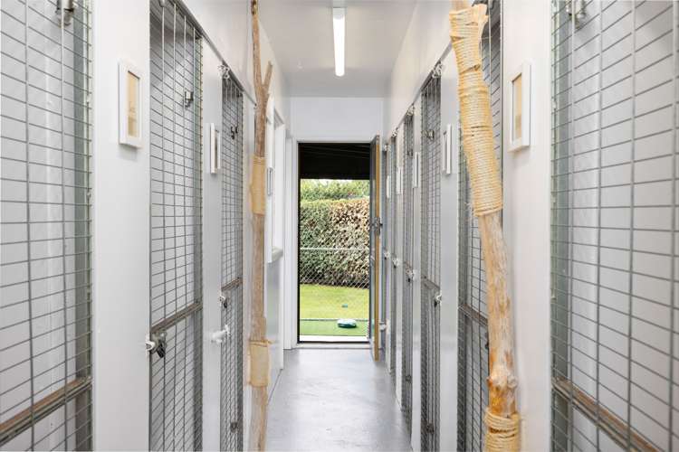 5 Cowper Place Avondale_23