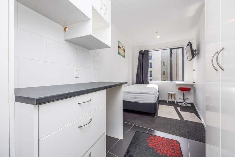 11b/33 Mount Street Auckland Central_0