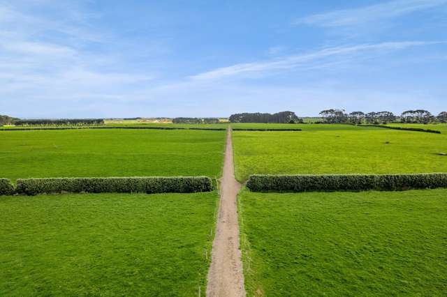 577 Patiki Road Pihama_2