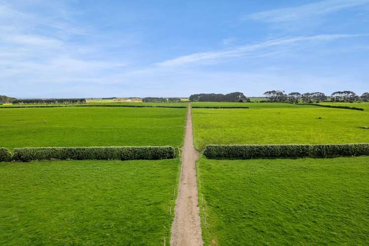 577 Patiki Road Pihama_2