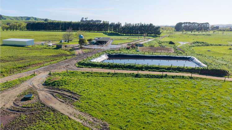 886 Kakariki Road Eketahuna_6