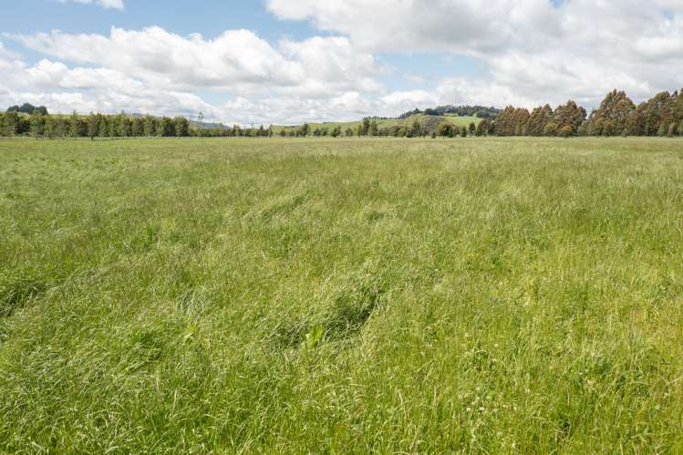 120 Wetlands Road Te Anau_24