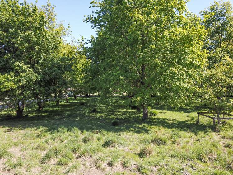 142 Norfolk Road Carterton_3