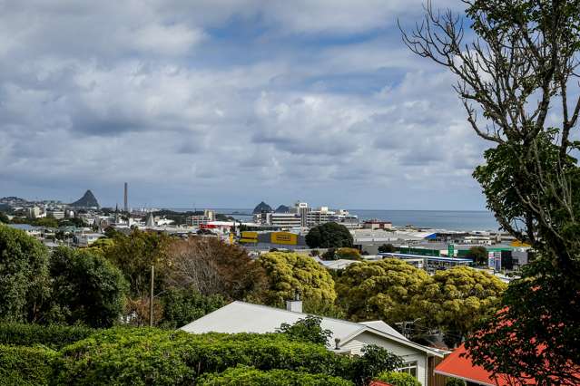 Niger Terrace New Plymouth City Surrounds_1