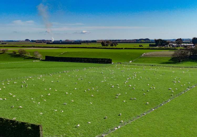 57 Island Edendale Road Edendale_6