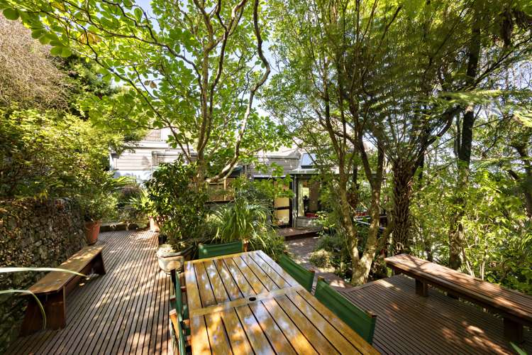 17 Dillon Street Lowry Bay_8