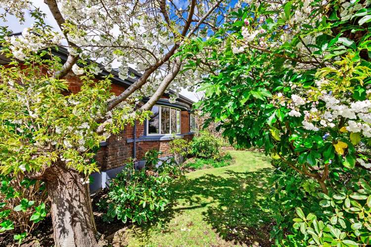 58 Wellington Street Georgetown_35