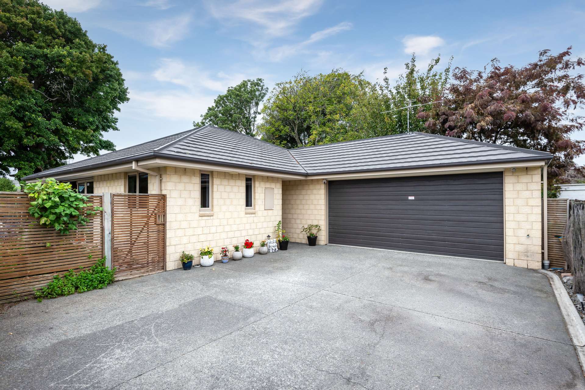 22 Hargest Crescent Sydenham_0