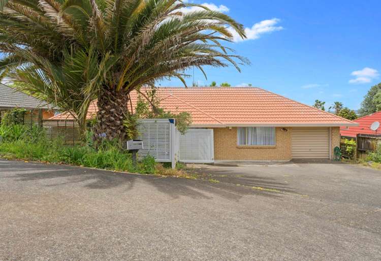 4 Debora Hatton Lane Mt Wellington_12
