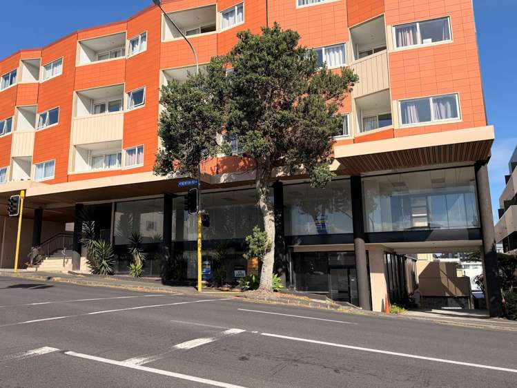 127 Newton Road Eden Terrace_11