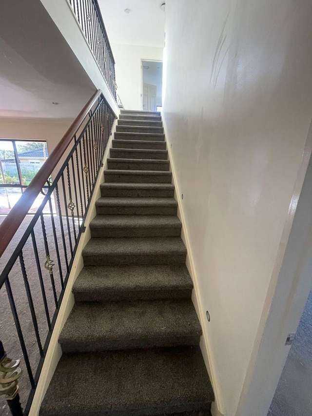 17 Raphoe Road Flat Bush_3