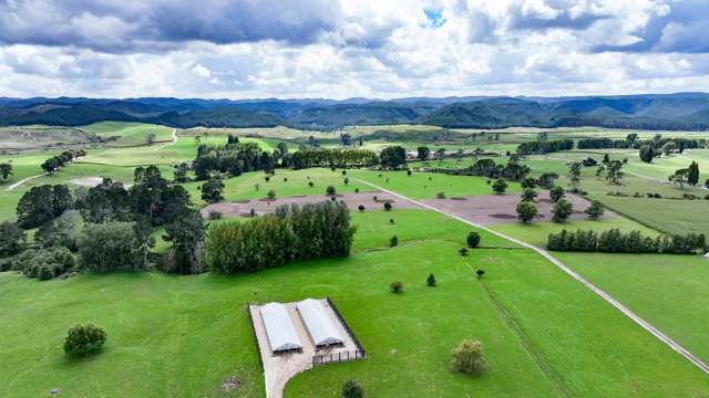 91 State Highway 30 Kinleith_2