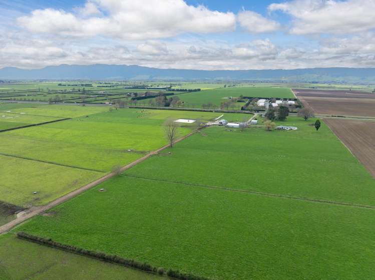 7096 State Highway 27 Matamata_17
