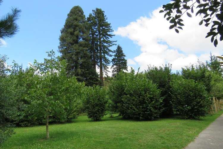 298 Tunakotekote Road Taumarunui_2