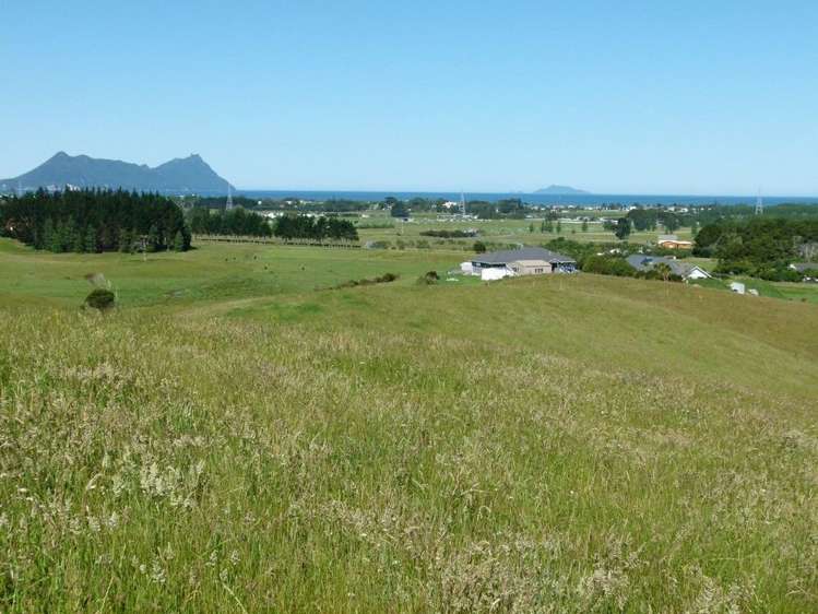 171 Prescott Road Ruakaka_9